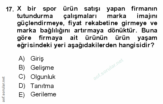 Soru 17