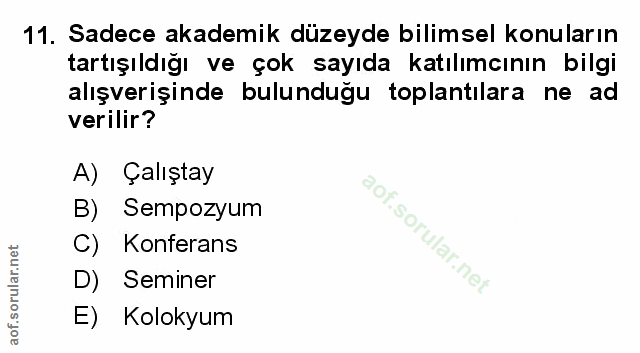 Soru 11