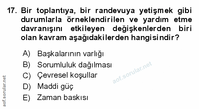 Soru 17