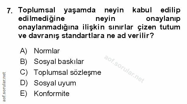 Soru 7