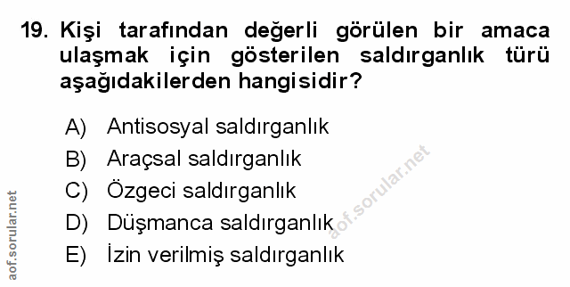 Soru 19
