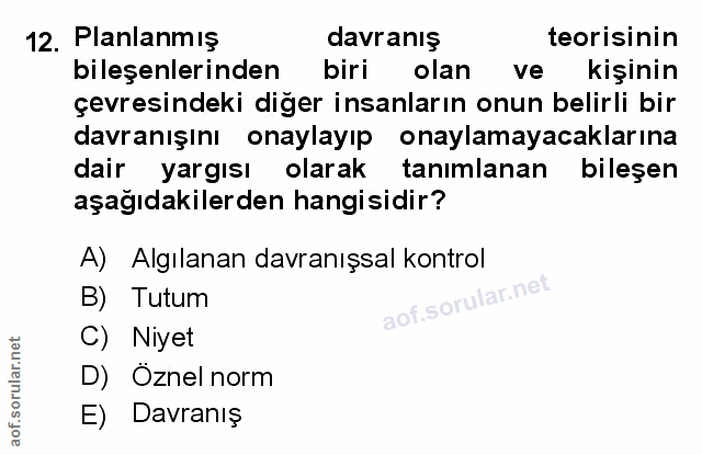 Soru 12