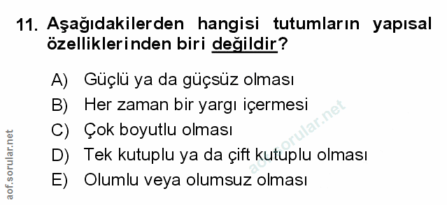 Soru 11