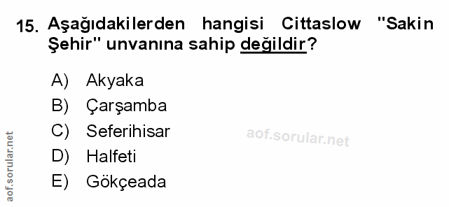 Soru 15