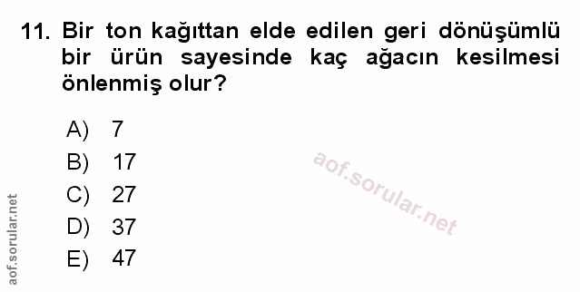 Soru 11