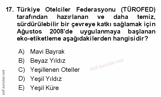 Soru 17