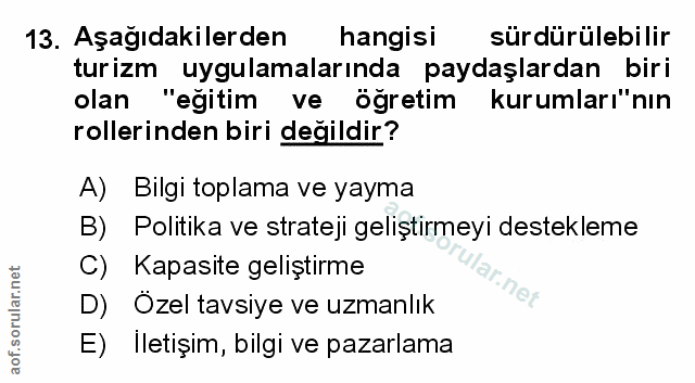 Soru 13