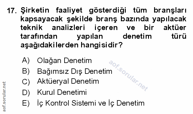 Soru 17