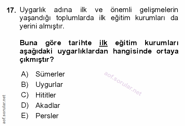 Soru 17