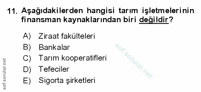 Soru 11