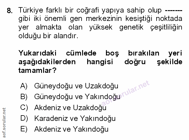 Soru 8