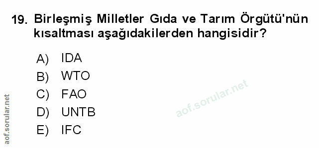 Soru 19
