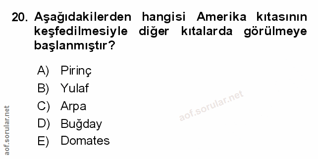 Soru 20