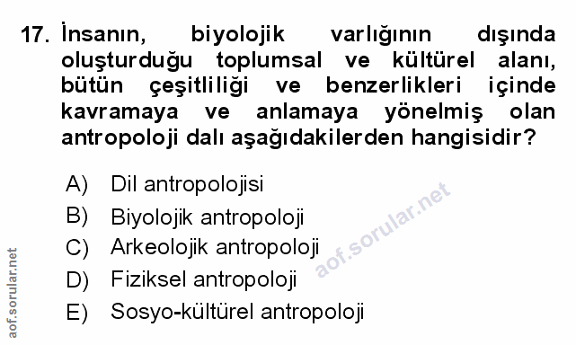 Soru 17