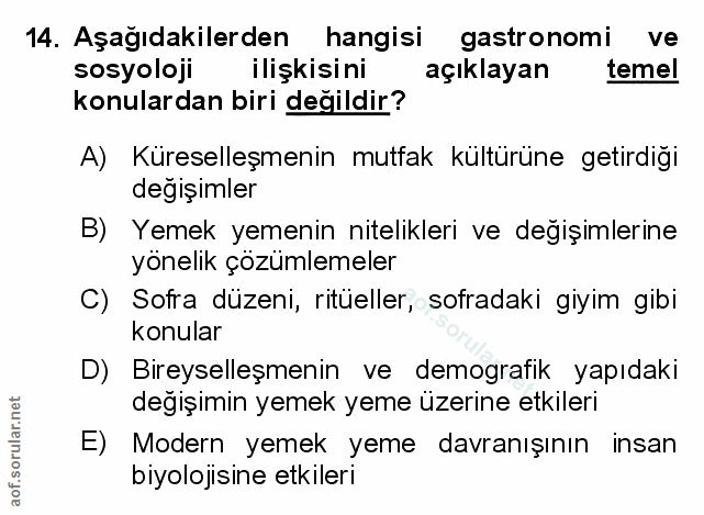 Soru 14