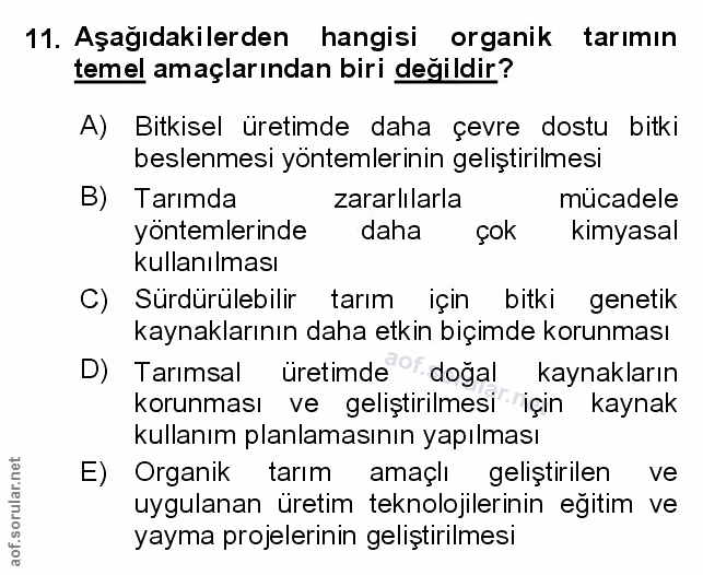 Soru 11