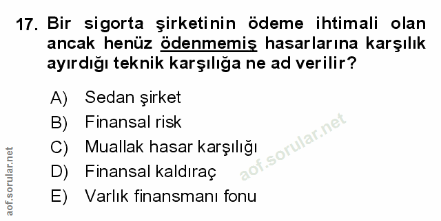 Soru 17