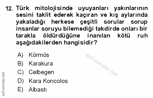 Soru 12