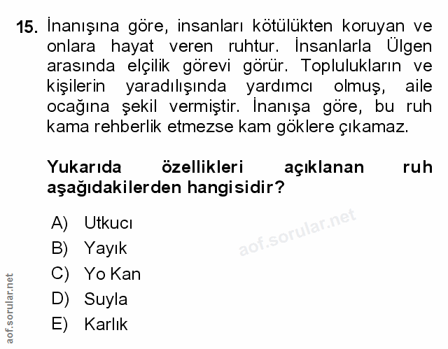 Soru 15
