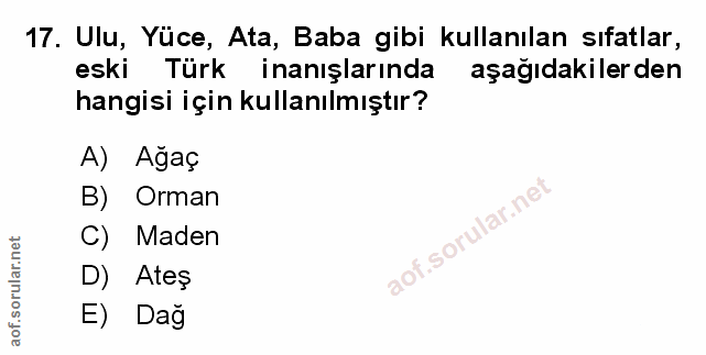 Soru 17