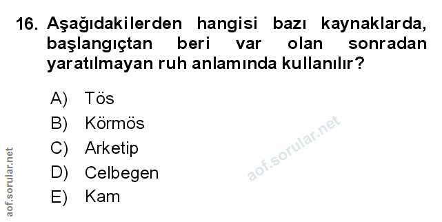 Soru 16