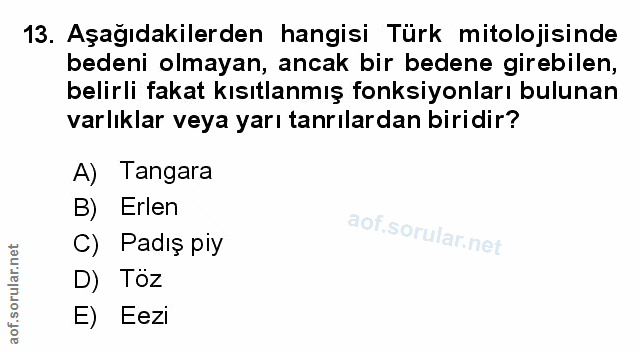 Soru 13