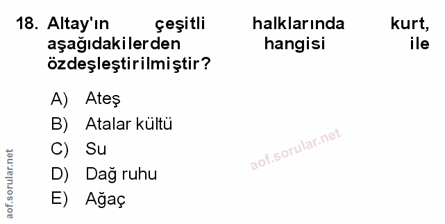 Soru 18
