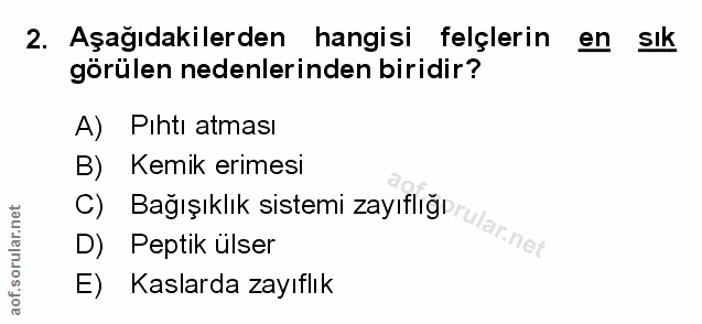 Soru 2