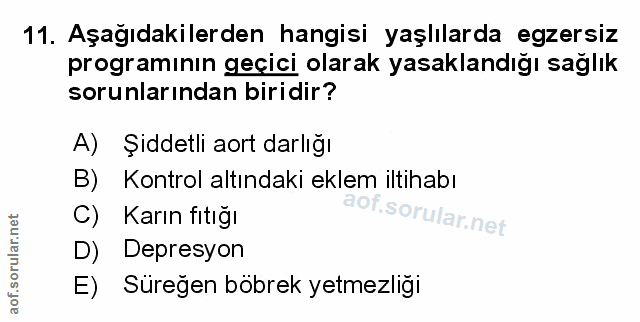 Soru 11