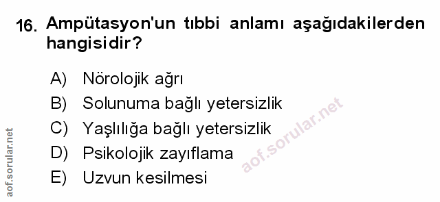 Soru 16