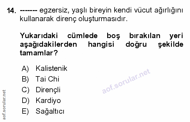 Soru 14
