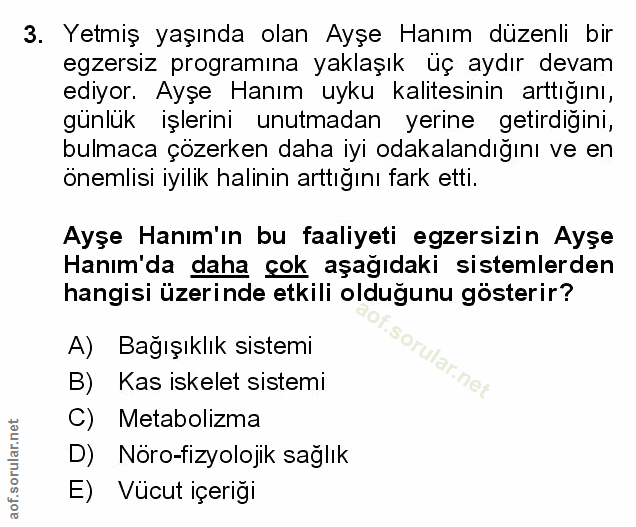 Soru 3