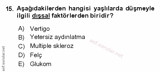Soru 15