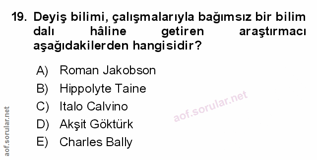 Soru 19
