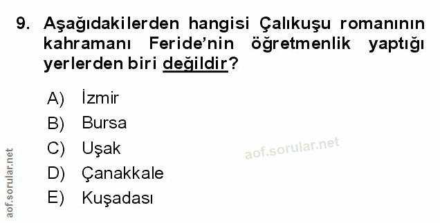 Soru 9