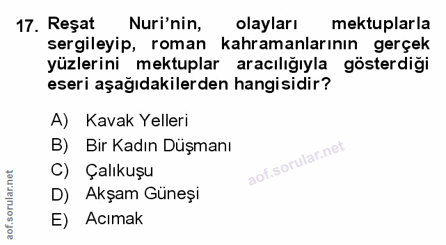 Soru 17
