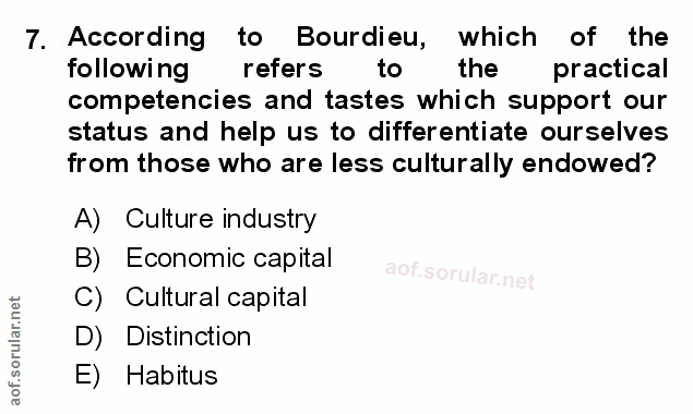 Soru 7