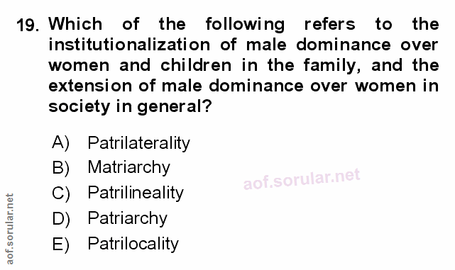 Soru 19