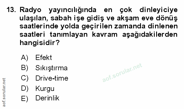 Soru 13