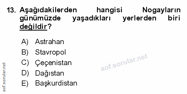 Soru 13