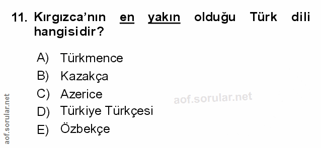 Soru 11