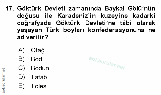 Soru 17