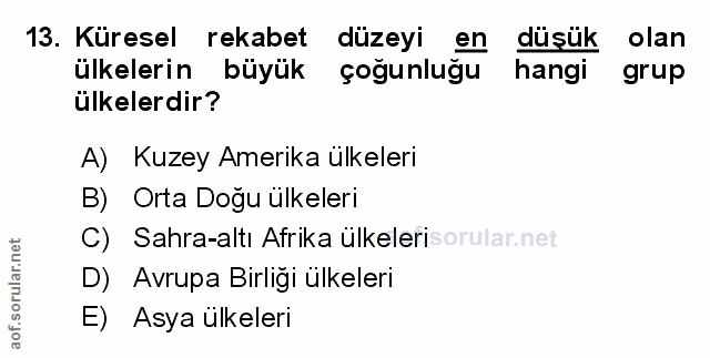 Soru 13