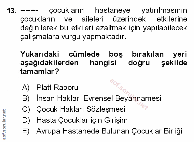 Soru 13