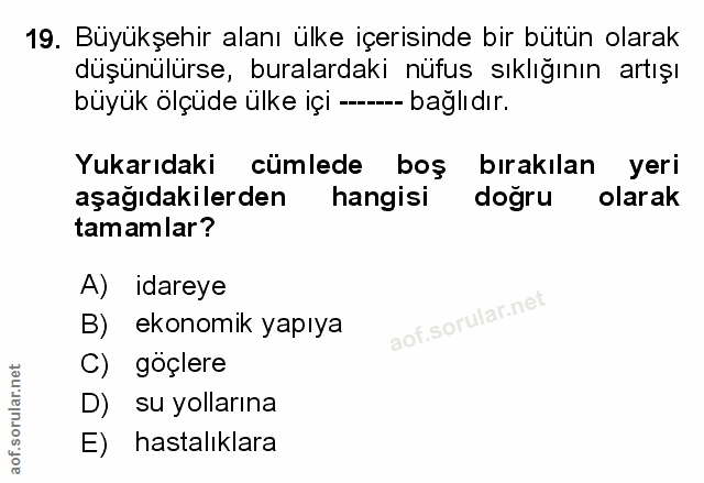 Soru 19
