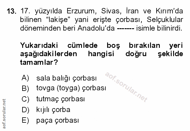 Soru 13