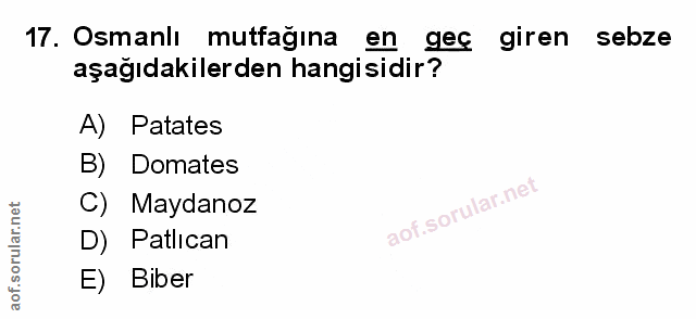 Soru 17