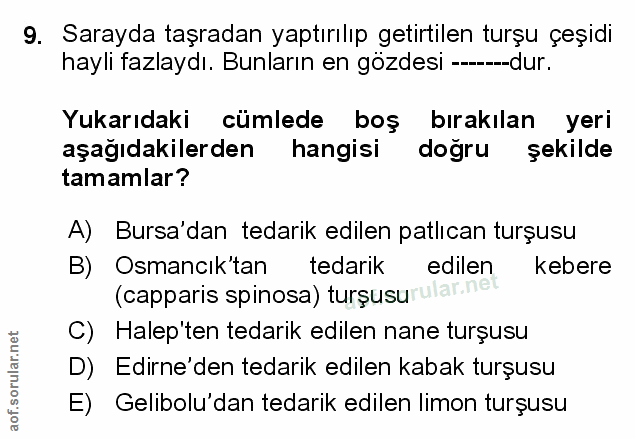 Soru 9