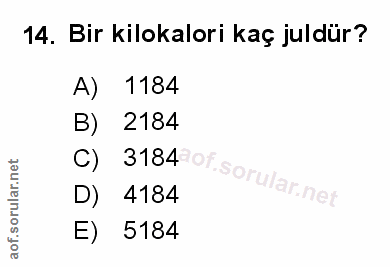 Soru 14