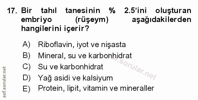 Soru 17
